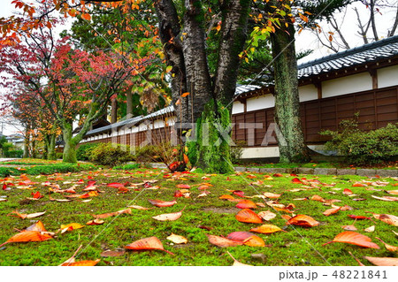 秋の大栄寺(新潟県) 秋の大栄寺(新潟県) 48221841