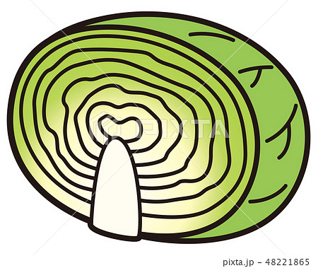 キャベツ　1/2切 48221865