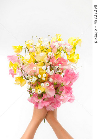 スイートピーの花束　Flowers sweet pea bouquet 48222298