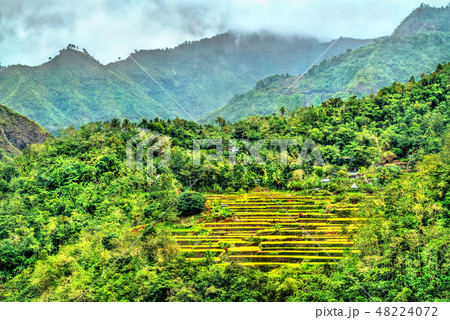 Mayoyao Rice Terraces, UNESCO world heritage in Ifugao, Philippines 48224072