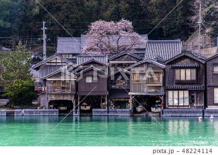 売り手◆ はりたつお 『 京都 伊根の舟屋と桜（大） 』 ジクレー その他