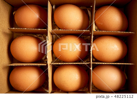 Organic chicken eggs in paper box with compartments 48225112