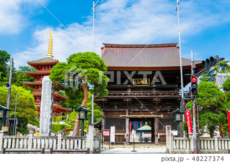 東京 高幡不動尊 仁王門と五重塔 東京 高幡不動尊 仁王門と五重塔 48227374
