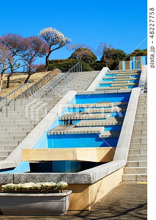 小菅西公園と青空 48227758