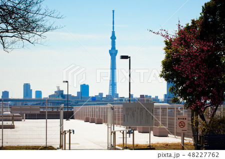 小菅西公園のフットサル場と東京スカイツリー 小菅西公園のフットサル場と東京スカイツリー 48227762