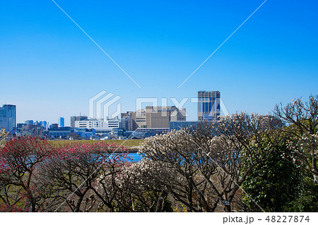小菅西公園の梅林と都市風景 小菅西公園の梅林と都市風景 48227874