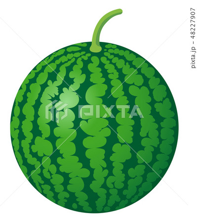 スイカ　西瓜　白背景 48227907