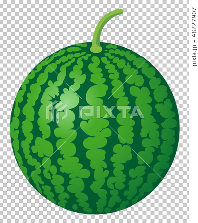 Watermelon watermelon white background 48227907