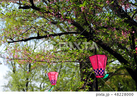 池田八坂神社参道 48228000