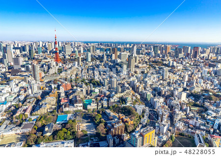 六本木ヒルズからの展望　東京タワー　【東京都】 48228055