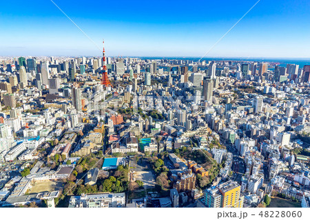 六本木ヒルズからの展望　東京タワー　【東京都】 48228060