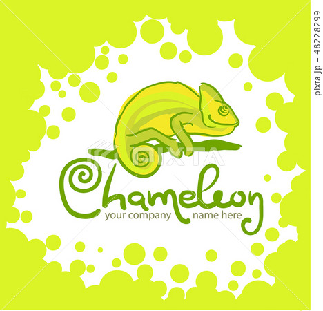 Chameleon icon. Cartoon illustration of walking chameleon vector for the web 48228299