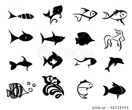Vector Hand drawn sketch of fish illustration on white background Vector Hand drawn sketch of fish illustration on white background 48228343