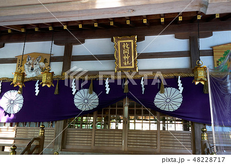 枚岡神社 48228717