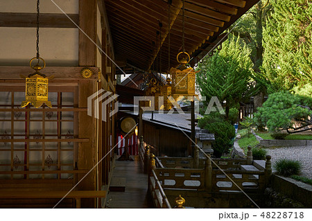 枚岡神社 48228718