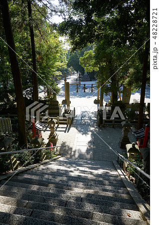 枚岡神社 48228721