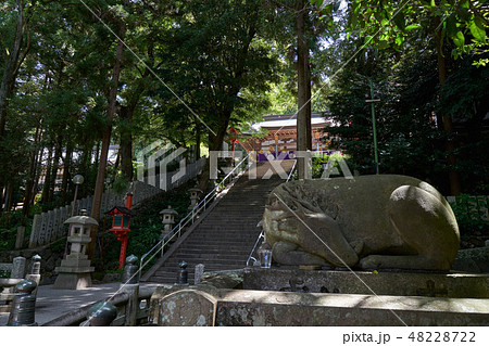 枚岡神社 48228722