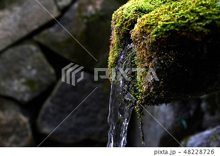 枚岡神社 48228726