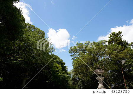 枚岡神社 48228730