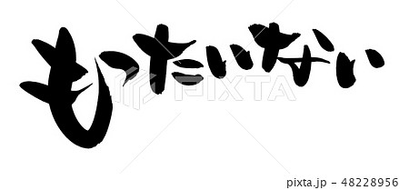 筆文字　もったいない　mottainai 　イラスト 48228956