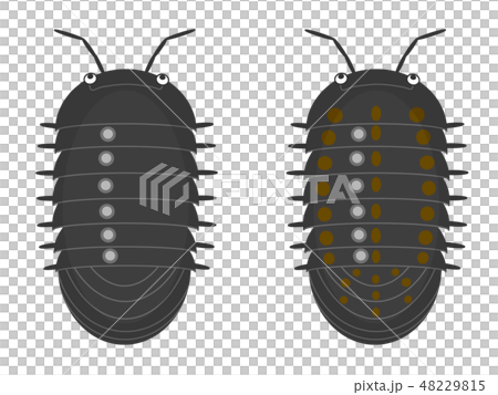 ダンゴムシ様 2d84a7b71af489b2a92cb587c928c0