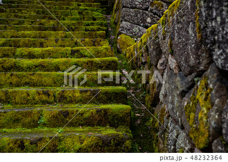 寺院の苔生す石段と石垣 富山 八尾の街並み　b 48232364