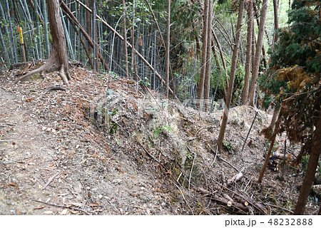 芥川山城跡 竪土塁 芥川山城跡 竪土塁 48232888