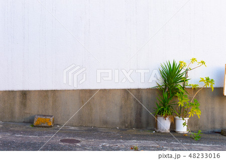 Empty interior for design, white concrete wall  48233016