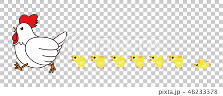 Chicken illustrations 48233378