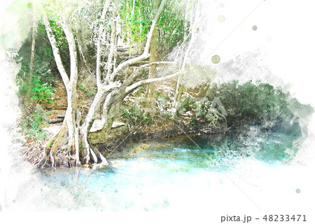Abstract tree on watercolor illustration painting. 48233471