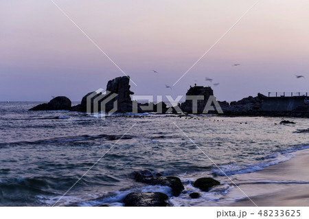 オプションの岩 ゴンヒョンジン 高城郡 48233625