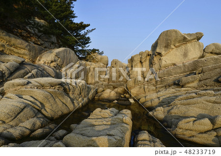 高城郡 韓国 自然 48233719