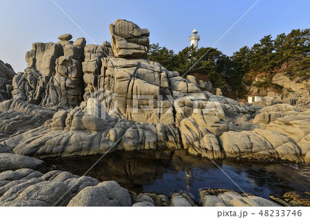 高城郡 韓国 自然 48233746