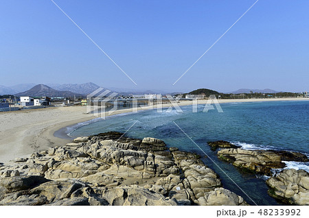 高城郡 岩 石 48233992