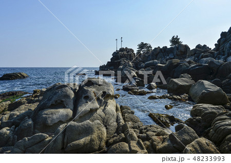 高城郡 岩 石 48233993