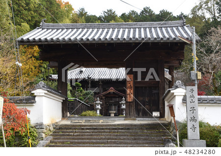 高取城跡 城下に移築された二の門 高取城跡 城下に移築された二の門 48234280