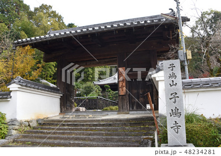 高取城跡 城下に移築された二の門 高取城跡 城下に移築された二の門 48234281