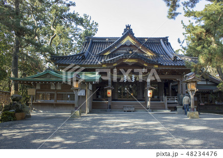 安宅住吉神社 安宅住吉神社 48234476