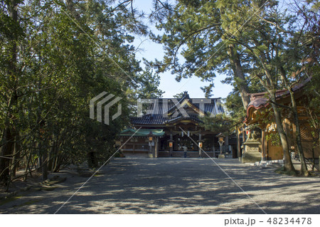 安宅住吉神社 安宅住吉神社 48234478