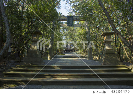 安宅住吉神社 安宅住吉神社 48234479