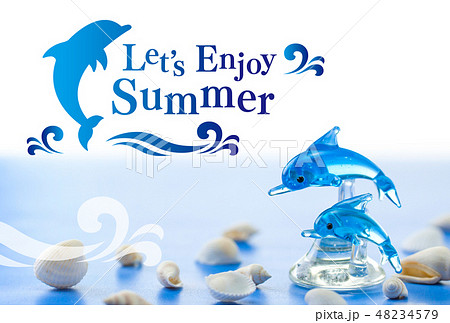 サマーカード 48234579