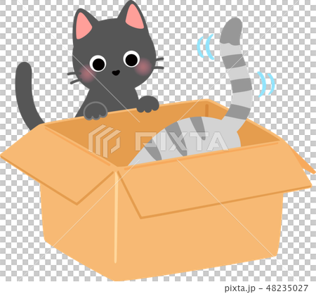 A cat entering a cardboard box 48235027