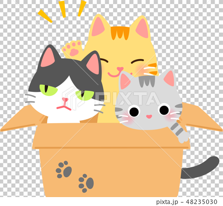 箱に入ったたくさんの猫のイラスト素材