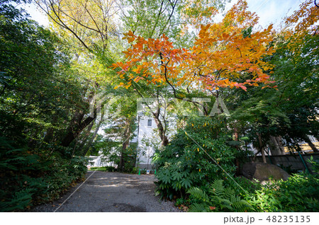 永青文庫 48235135