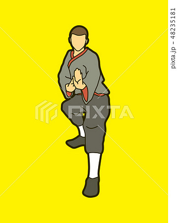 Kung fu action ready to fight front view graphic Kung fu action ready to fight front view graphic 48235181