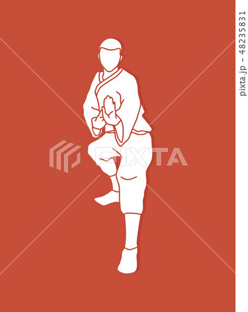 Kung fu action ready to fight front view graphic  48235831