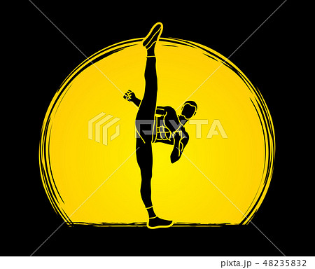 Kung fu Karate high kick front view graphic vector 48235832