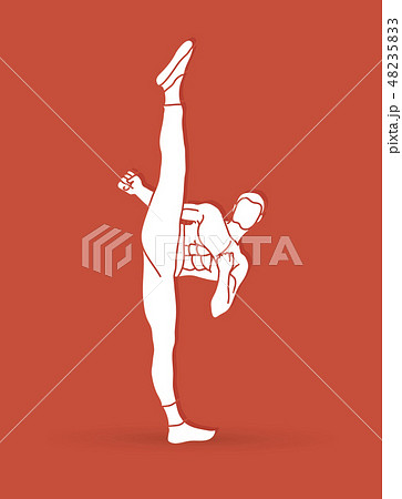 Kung fu Karate high kick front view graphic vector 48235833