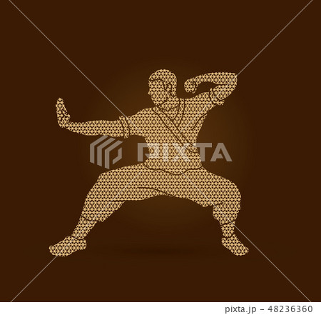 Kung fu action ready to fight vector Kung fu action ready to fight vector 48236360