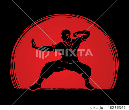 Kung fu action ready to fight vector Kung fu action ready to fight vector 48236361